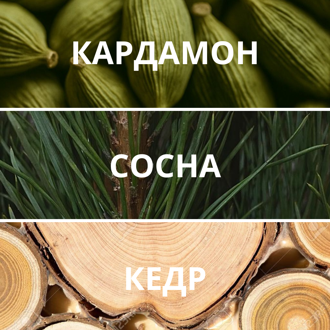L'essence de Taiga, духи-концентрат, 1,5 мл — изображение 2