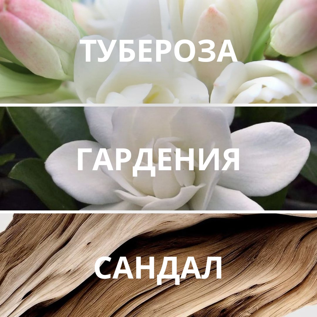 Nuage Gardenia, парфюмерная вода, 1,5 мл — изображение 2