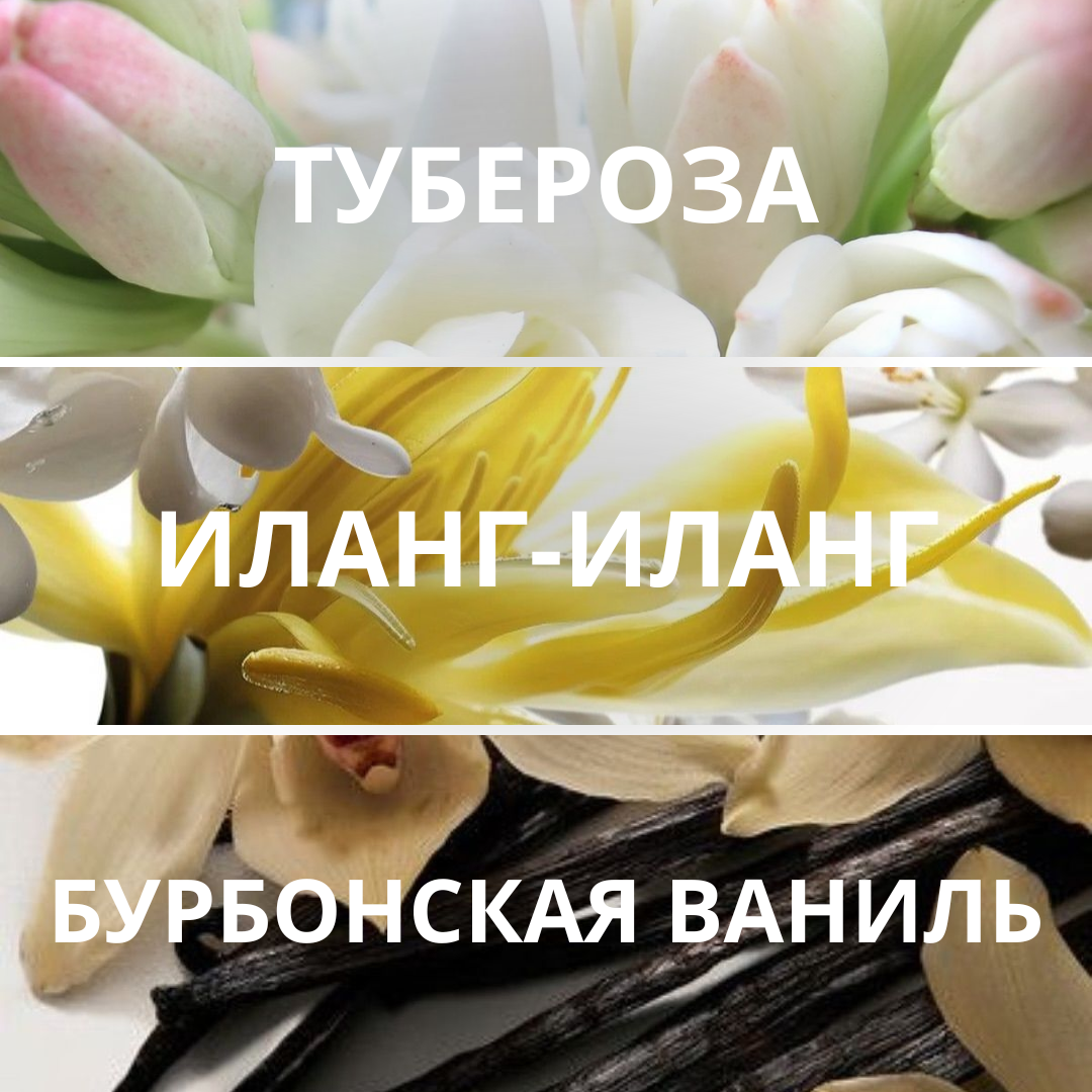 L'essence d’Altai, духи-концентрат, 20 мл — изображение 2