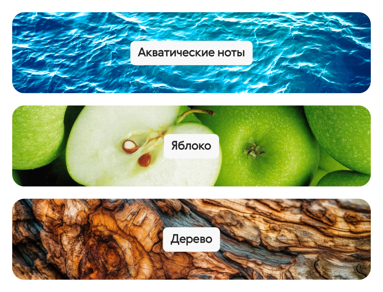 Silver Wood & Oakmoss, парфюмерная вода — изображение 4