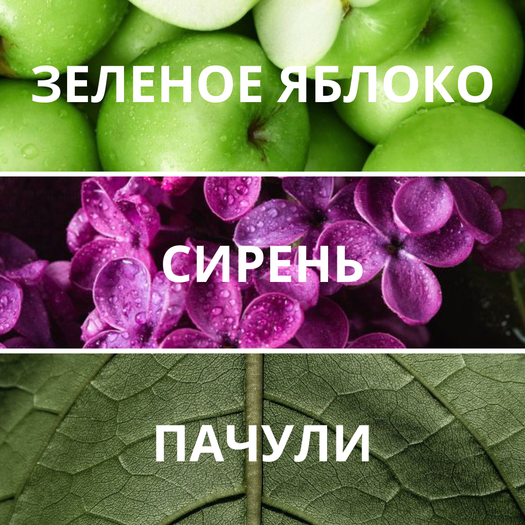 FLUIDES Glowing Citrus & Vetiver, парфюмерная вода, 1,5 мл — изображение 2